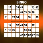 Latest Bingo Slots Websites in Goose Green 11