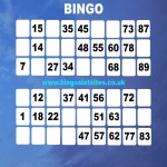 Free Bingo No Deposit No Card Details in Newtown 12