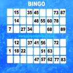 Free Bingo Signup Welcome Offer in Lane End 3