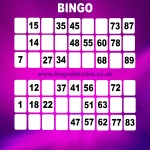 Latest Bingo Slots Websites in Lower End 9