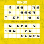 Bingo Slot Sites in Catshill 2