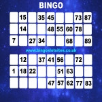 Bingo Slot Sites in Moortown 2