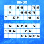 Free Bingo Signup Welcome Offer in Brampton 1